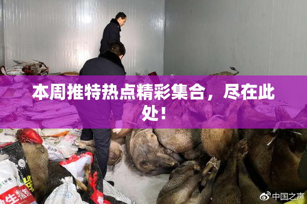 本周推特热点精彩集合，尽在此处！