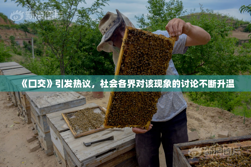 《囗交》引发热议，社会各界对该现象的讨论不断升温