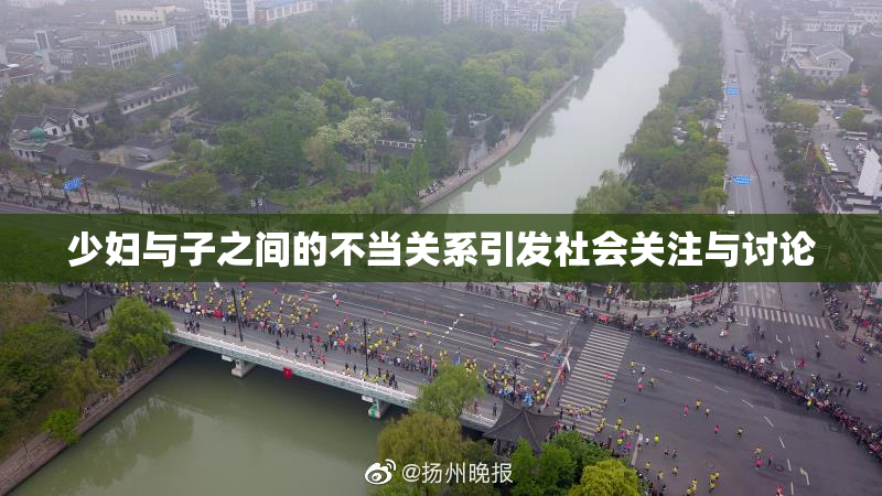少妇与子之间的不当关系引发社会关注与讨论