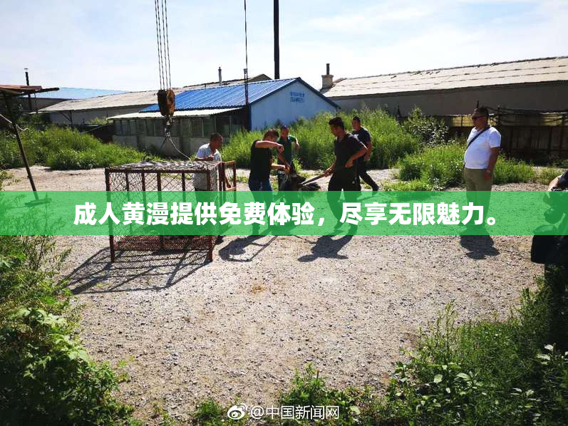 成人黄漫提供免费体验，尽享无限魅力。