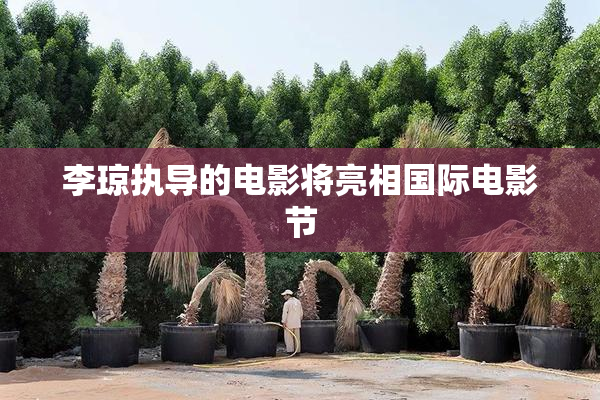 李琼执导的电影将亮相国际电影节