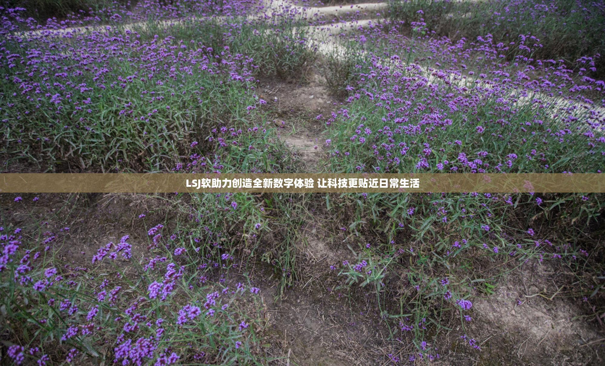 LSJ软助力创造全新数字体验 让科技更贴近日常生活