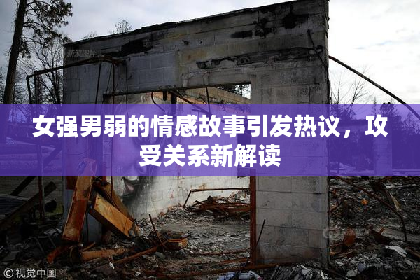 女强男弱的情感故事引发热议，攻受关系新解读