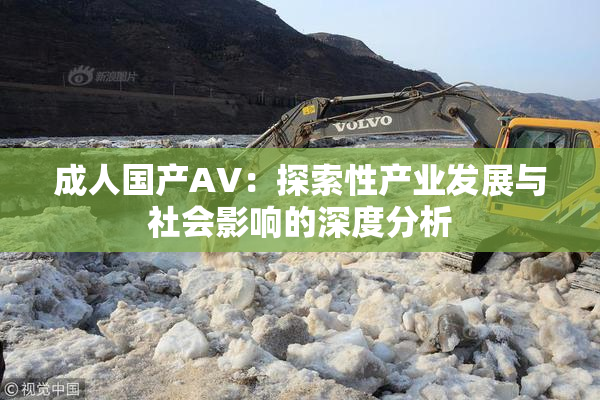成人国产AV：探索性产业发展与社会影响的深度分析