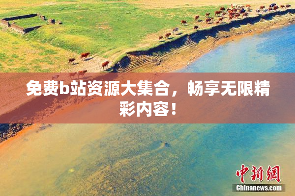 免费b站资源大集合，畅享无限精彩内容！
