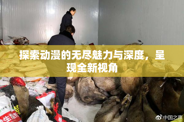 探索动漫的无尽魅力与深度，呈现全新视角