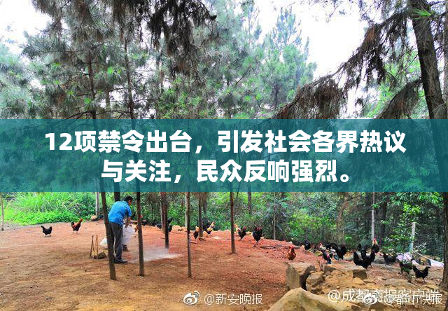12项禁令出台，引发社会各界热议与关注，民众反响强烈。