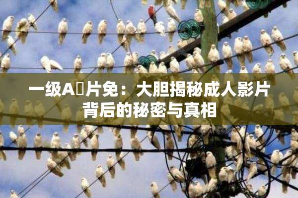一级A婬片免：大胆揭秘成人影片背后的秘密与真相