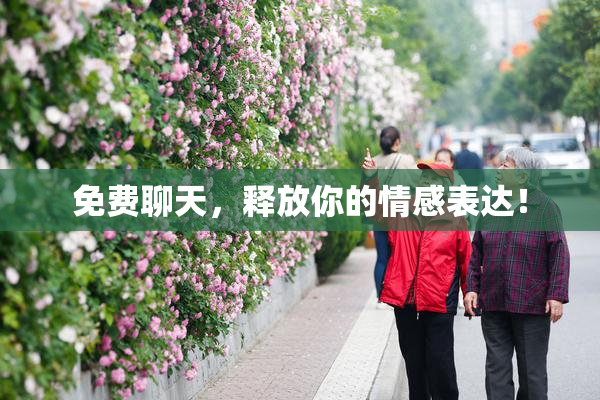 免费聊天，释放你的情感表达！