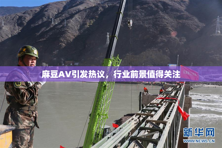 麻豆A∨引发热议，行业前景值得关注