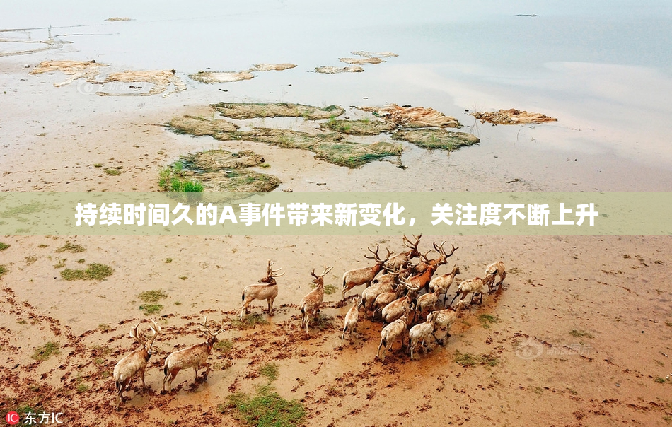持续时间久的A事件带来新变化，关注度不断上升