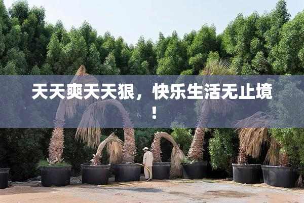 天天爽天天狠，快乐生活无止境！