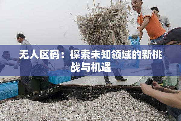 无人区码：探索未知领域的新挑战与机遇