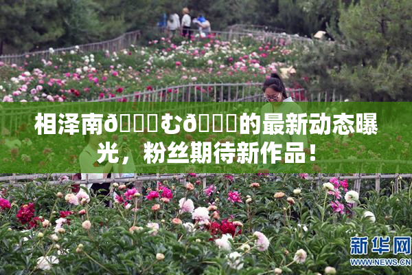 相泽南😚む🍍的最新动态曝光，粉丝期待新作品！
