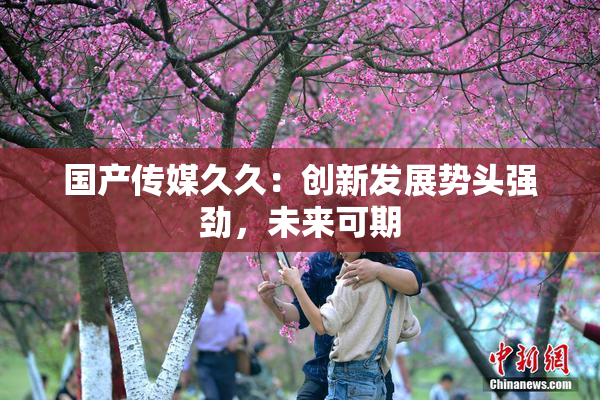 国产传媒久久：创新发展势头强劲，未来可期