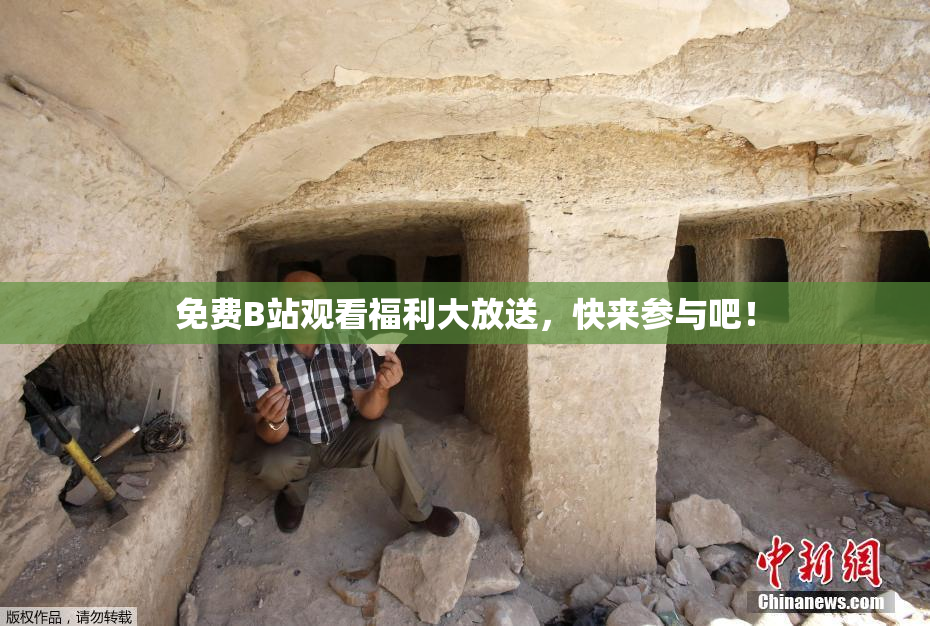 免费B站观看福利大放送，快来参与吧！