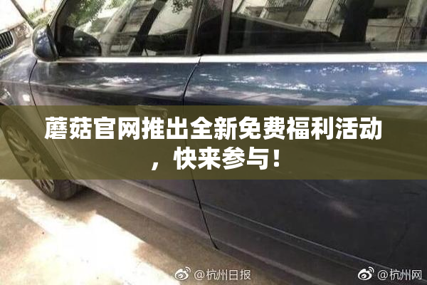蘑菇官网推出全新免费福利活动，快来参与！