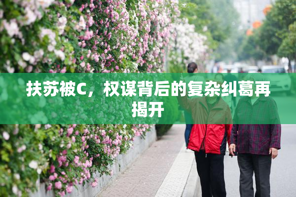 扶苏被C，权谋背后的复杂纠葛再揭开