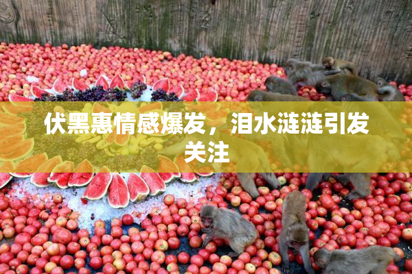 伏黑惠情感爆发，泪水涟涟引发关注