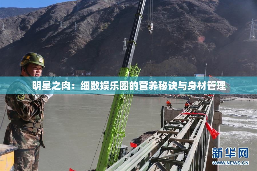明星之肉：细数娱乐圈的营养秘诀与身材管理