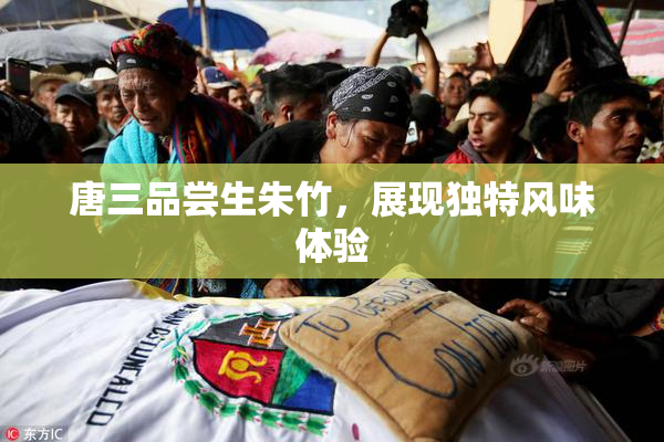 唐三品尝生朱竹，展现独特风味体验