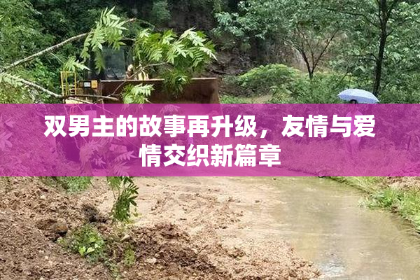 双男主的故事再升级，友情与爱情交织新篇章