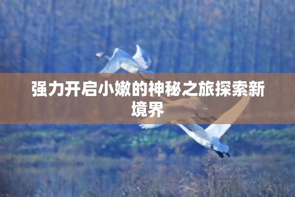 强力开启小嫩的神秘之旅探索新境界