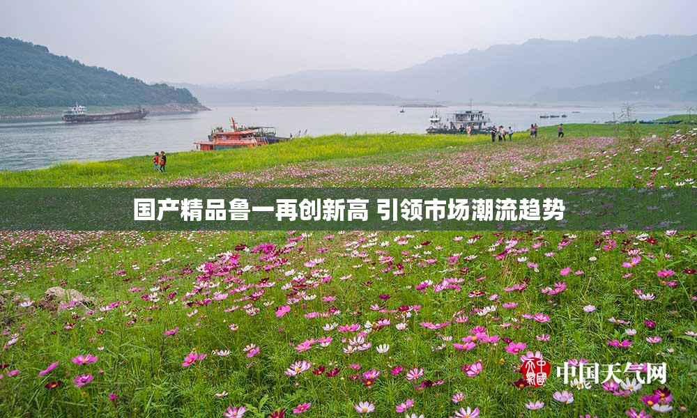 国产精品鲁一再创新高 引领市场潮流趋势