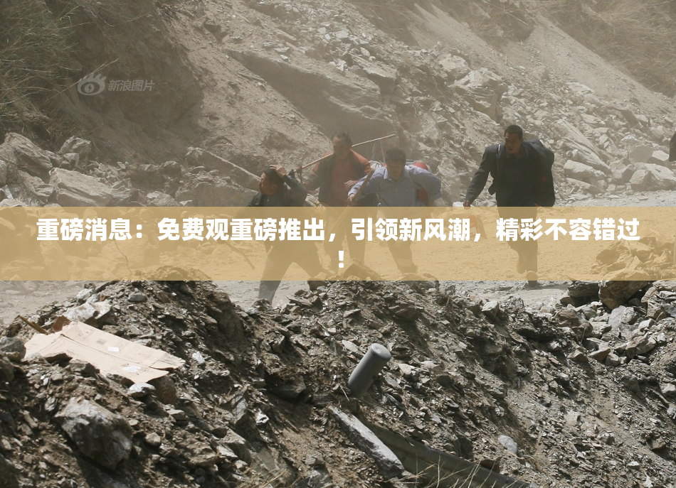 重磅消息：免费观重磅推出，引领新风潮，精彩不容错过！