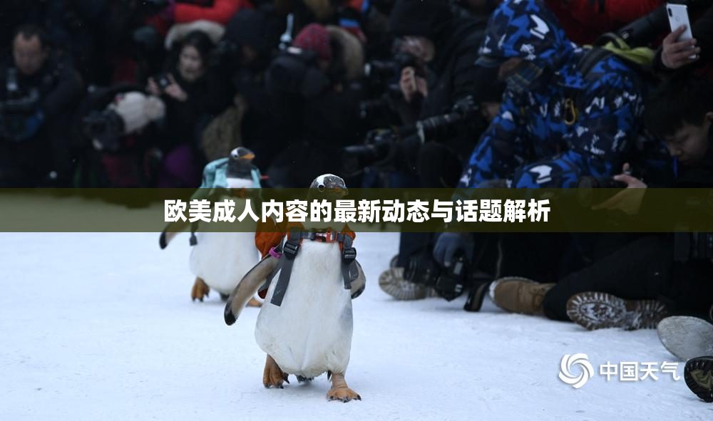 欧美成人内容的最新动态与话题解析