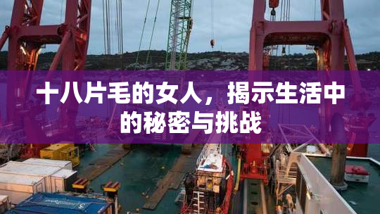 十八片毛的女人，揭示生活中的秘密与挑战