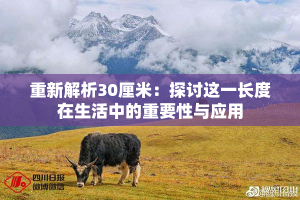 重新解析30厘米：探讨这一长度在生活中的重要性与应用