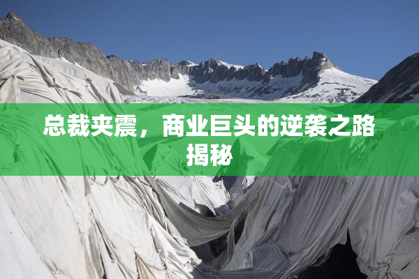 总裁夹震，商业巨头的逆袭之路揭秘
