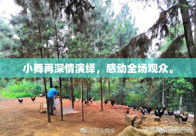 小舞再深情演绎，感动全场观众。