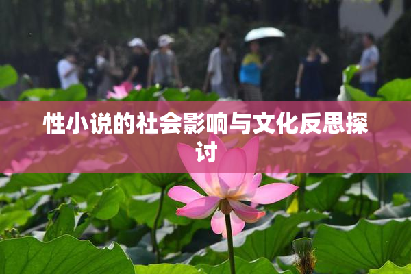 性小说的社会影响与文化反思探讨