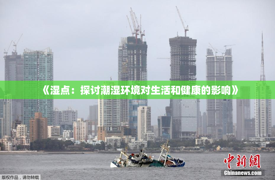 《湿点：探讨潮湿环境对生活和健康的影响》