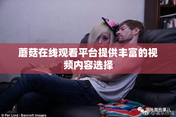 蘑菇在线观看平台提供丰富的视频内容选择