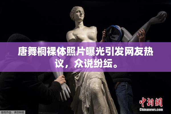 唐舞桐裸体照片曝光引发网友热议，众说纷纭。