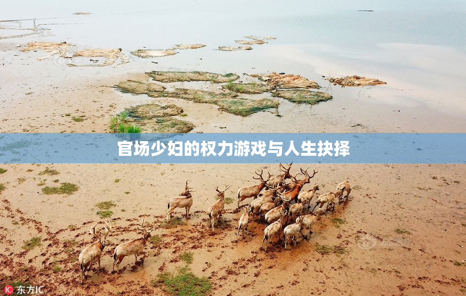 官场少妇的权力游戏与人生抉择