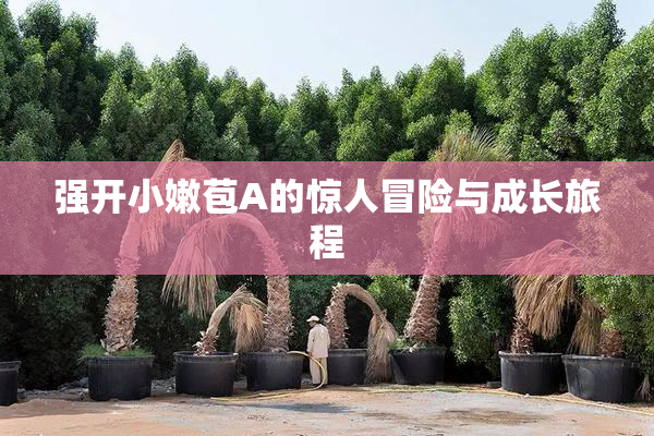 强开小嫩苞A的惊人冒险与成长旅程