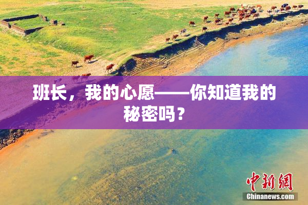 班长，我的心愿——你知道我的秘密吗？