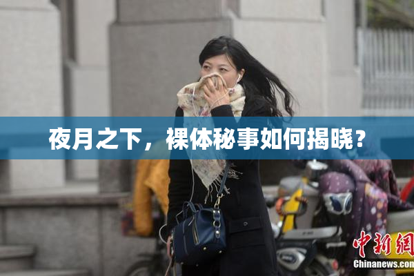 夜月之下，裸体秘事如何揭晓？