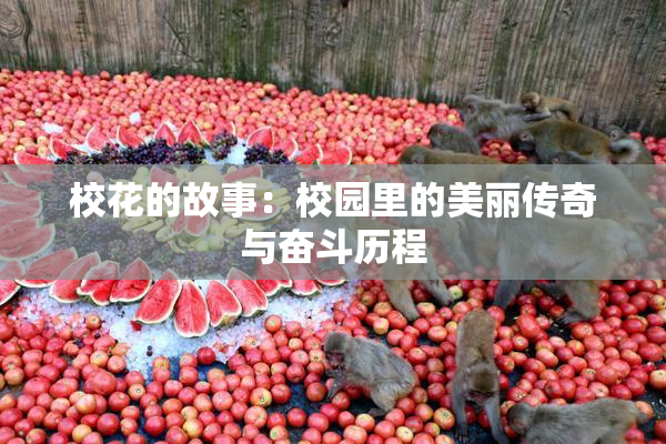 校花的故事：校园里的美丽传奇与奋斗历程