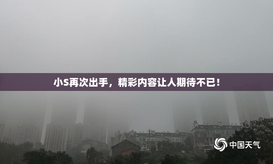 小S再次出手，精彩内容让人期待不已！