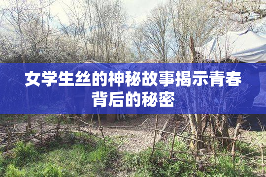 女学生丝的神秘故事揭示青春背后的秘密