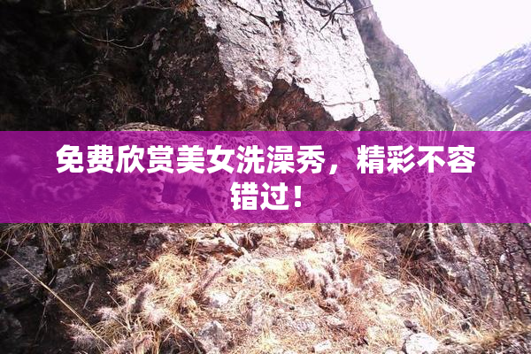 免费欣赏美女洗澡秀，精彩不容错过！