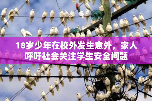 18岁少年在校外发生意外，家人呼吁社会关注学生安全问题
