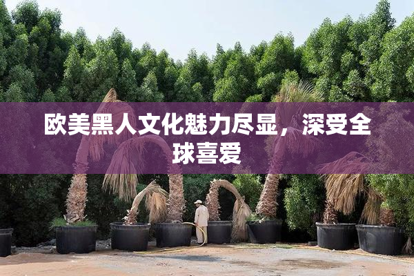 欧美黑人文化魅力尽显，深受全球喜爱