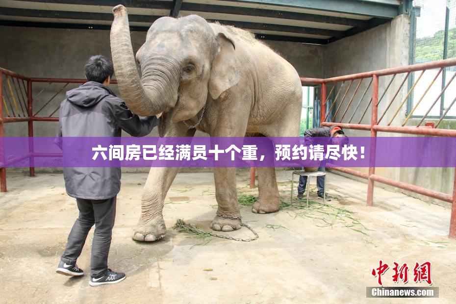 六间房已经满员十个重，预约请尽快！