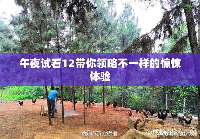 午夜试看12带你领略不一样的惊悚体验